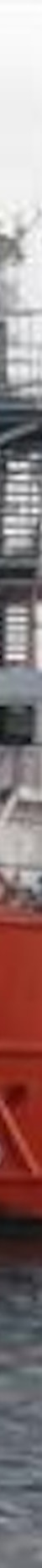 Nor-Tigerfish.jpg